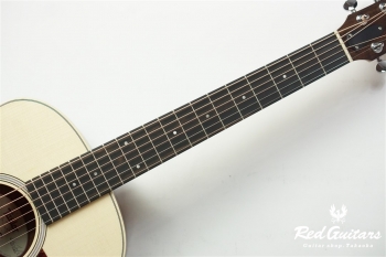 GS Mini-e Rosewood - Natural